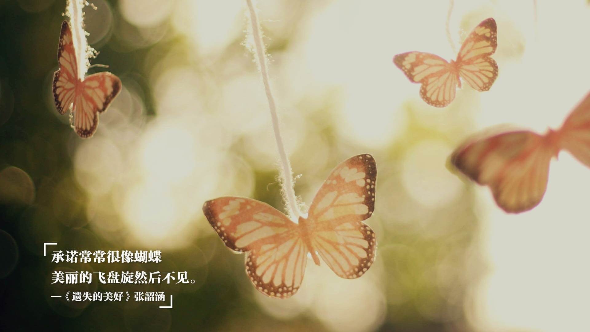 下载开云-_国际马拉松跑者聚会：血脉喷张的赛场盛事_，国际马拉松比赛视频