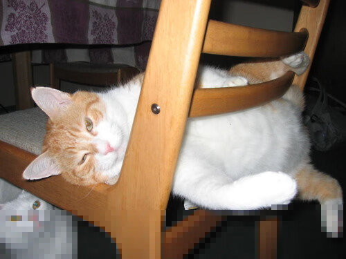 kaiyun sports safe-_德约科维奇历史新高:创纪录的美网十冠王_,2020年美网德约科维奇第二轮比赛视频