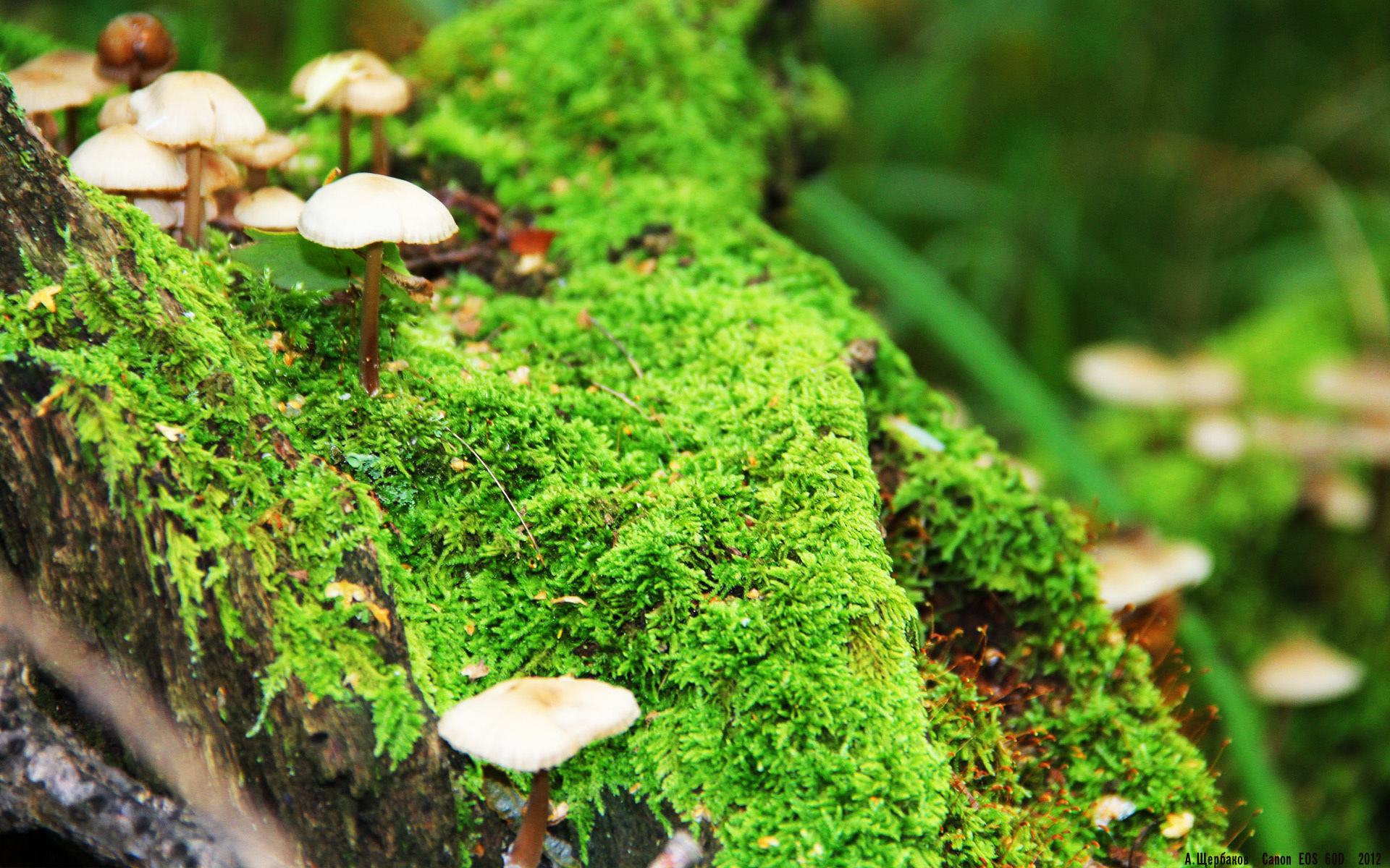 开云体育下载网址-_快船全员奋战，追逐排名第一目标_，快船主要成员