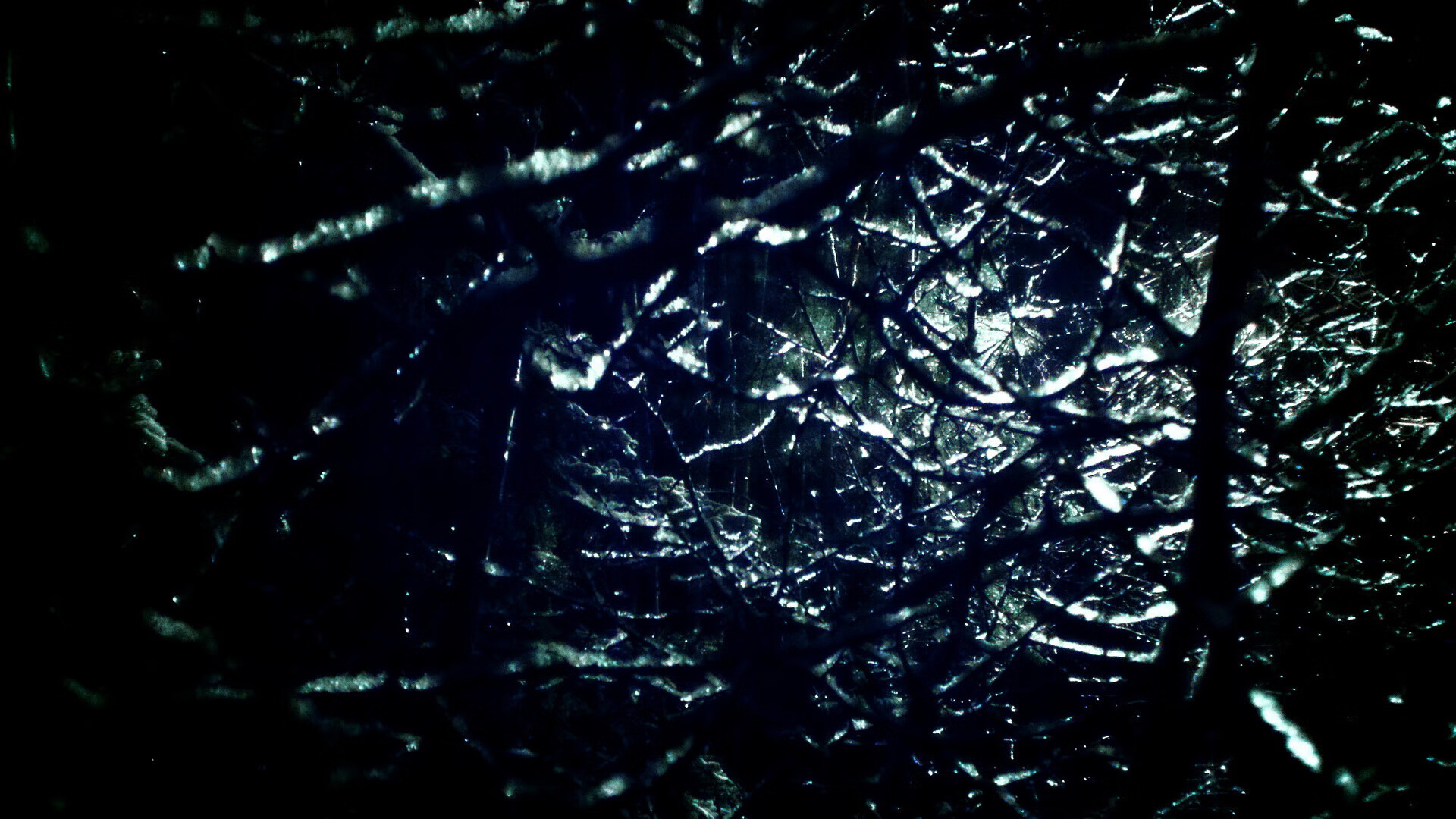 开云APP-“新规则引导下的青训体系：数据驱动与个性化培养同步推进”