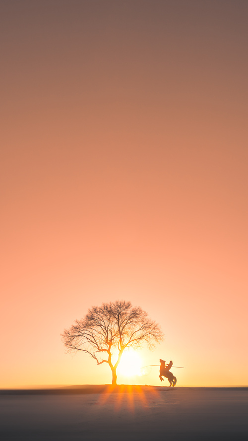 开云体育入口-“青训科技创新融合，提升青少年技战术水平”，青少年科技创新培训