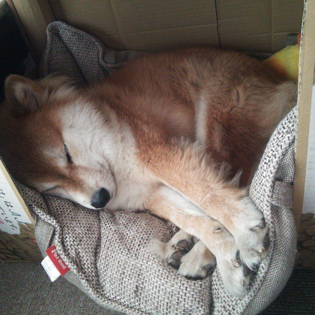 kaiyun sports-史上最“爆炸”的逆转比赛,真的是“逆天奇迹”!,爆炸翻转星