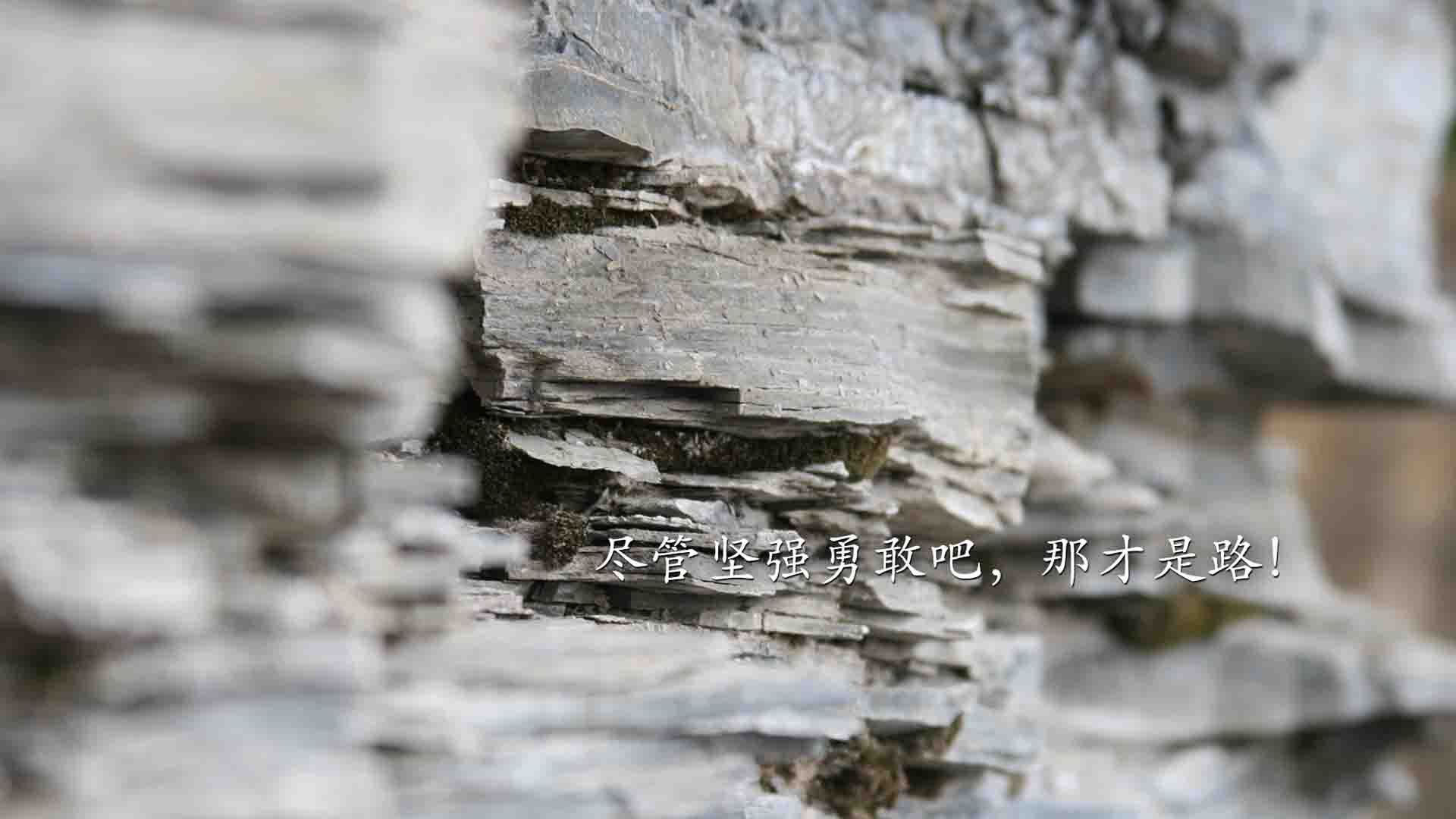 开云体育手机版-新版本更新引发赛事战术调整,新赛季比赛