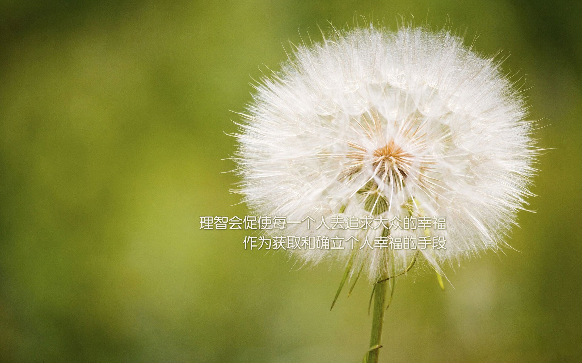 开云在线-日本男足团队精神感动人心,日本国家男足