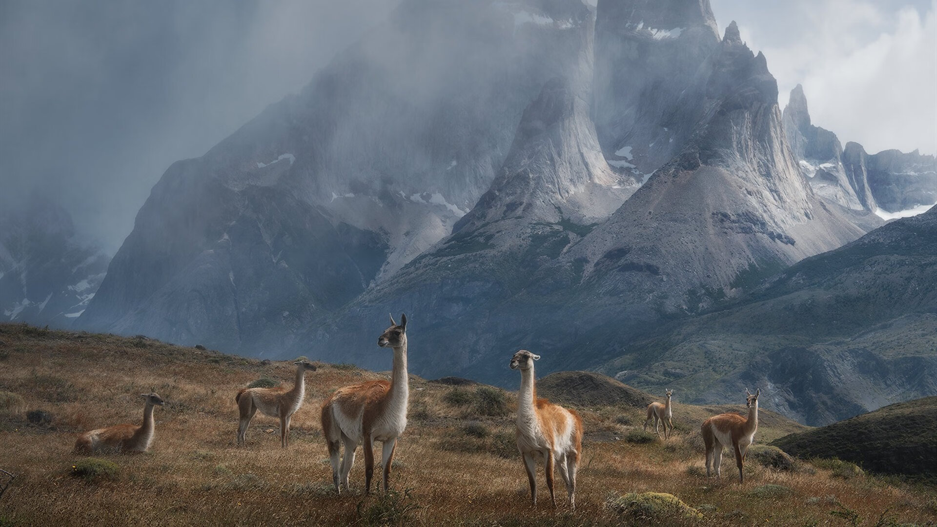 开云平台-青少年“篮球+科技”融合创新项目在上海大放异彩,青少年篮球学校