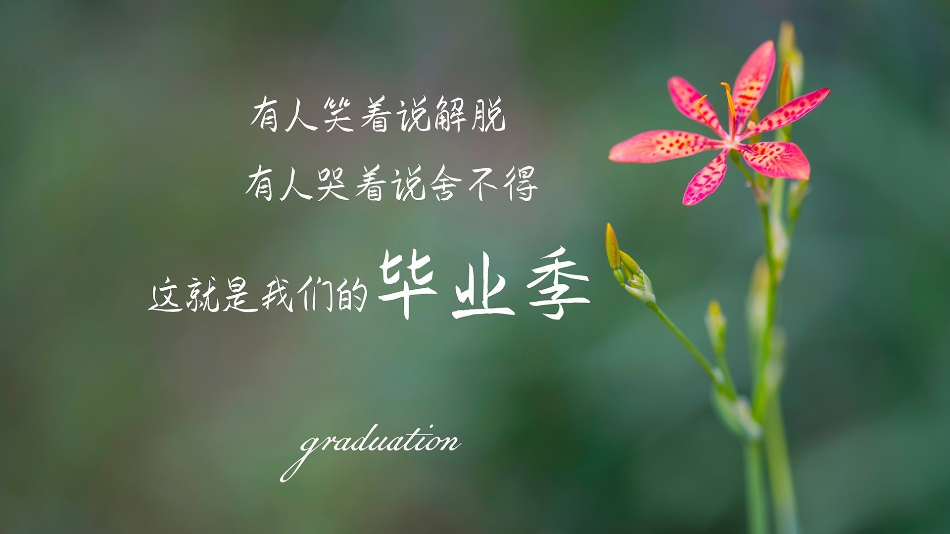 开云体育平台APP-青春风暴席卷中国熊猫篮球赛火热报名中,熊猫篮球俱乐部