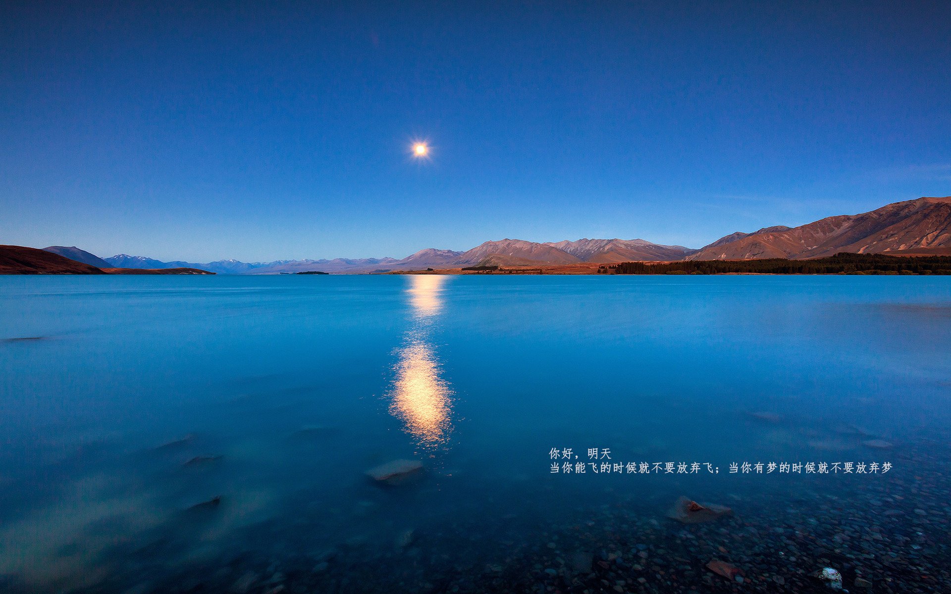 开云平台-魔术体育表演，趣味运动点亮观众的笑脸，表演魔术大全
