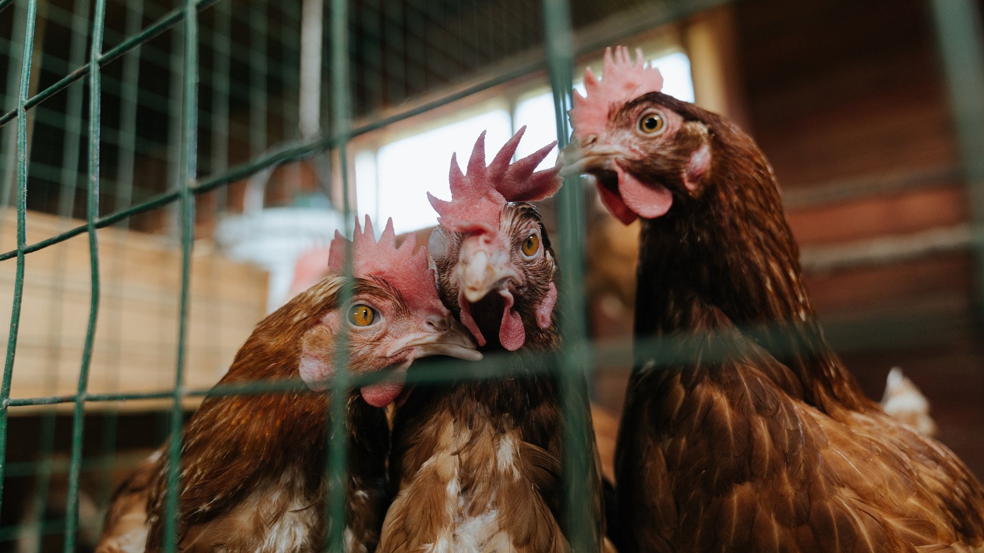 开云体育官方网站-《快船替补席贡献有限,球队深度成疑》