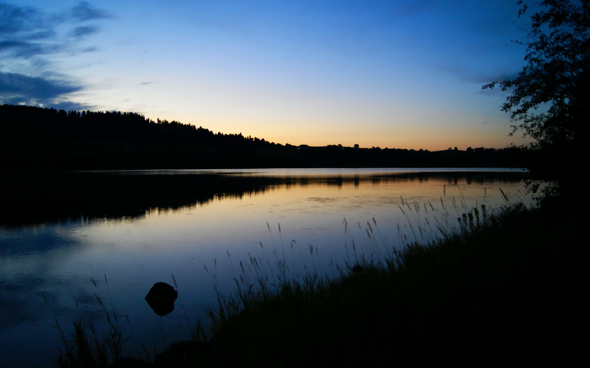 开云体育平台APP-上海海港球员赛季表现分析,上海海港队比赛时间