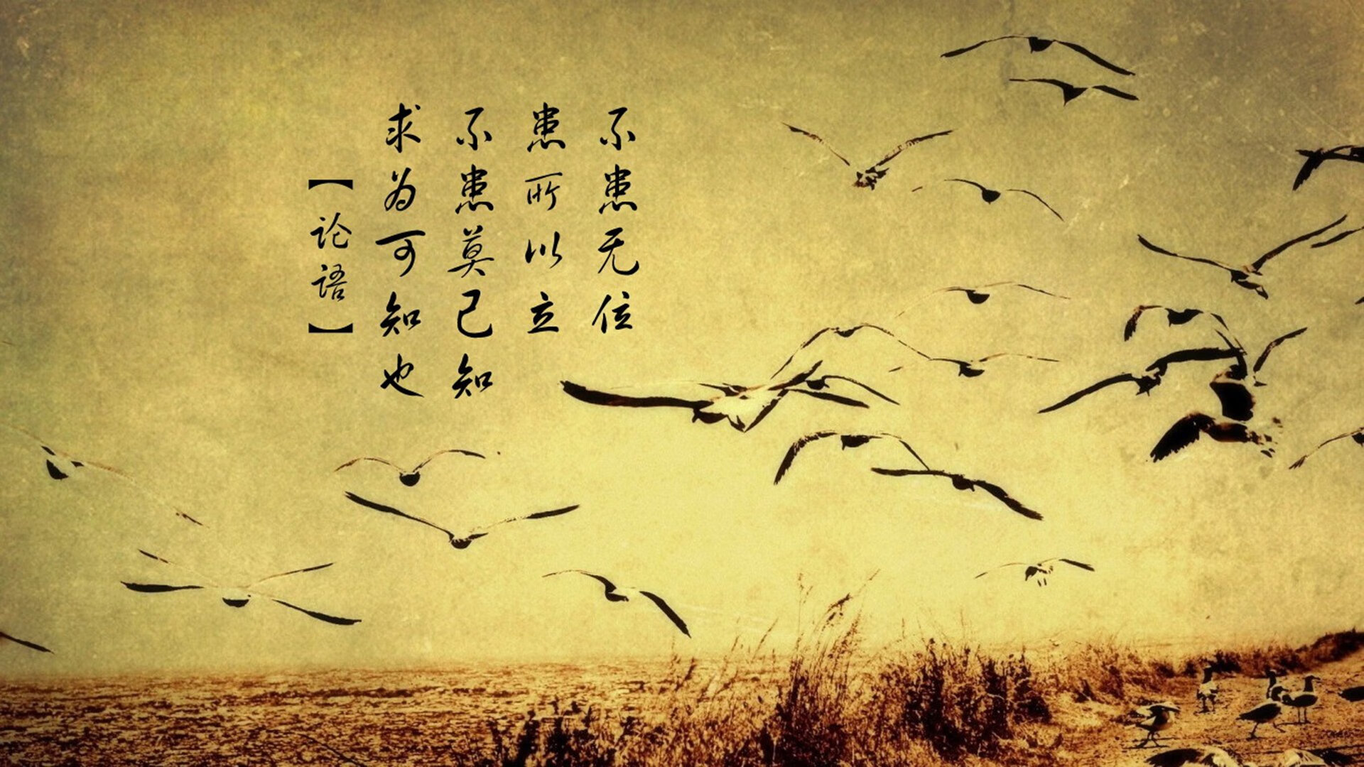 开云体育保障-主教练全力调整阵容,期待球队连胜势头延续,主教练意思