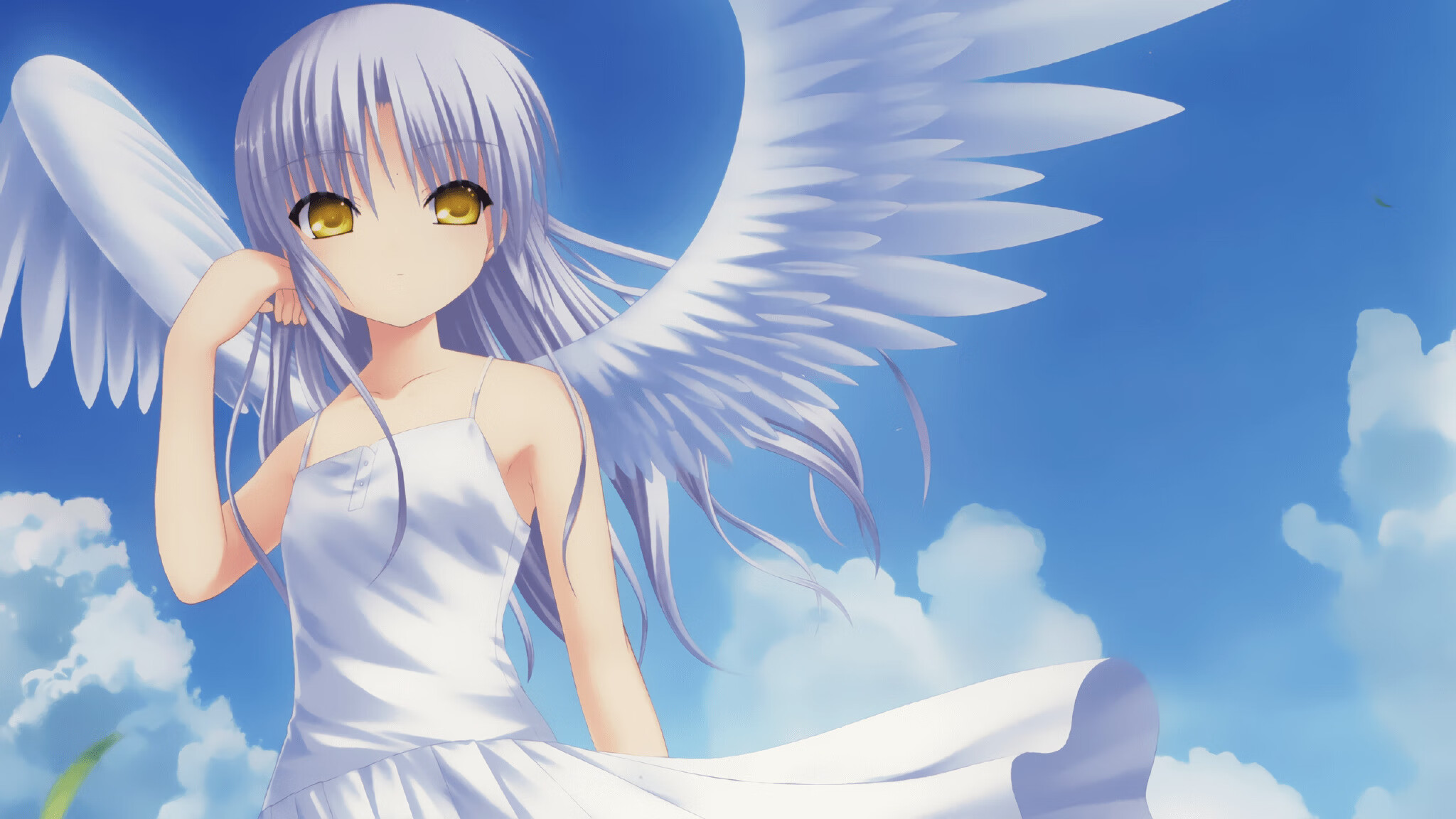 开云体育下载-乌迪内斯主场大捷，实力逐渐增强，乌迪内斯队