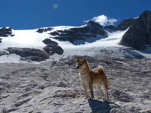 开云-地方职业俱乐部是否具备良性扩张潜力,职业俱乐部的组织机构