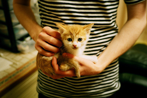 -中国篮球教练员战术分析与应变能力培养,中国篮球协会篮球教练员等级