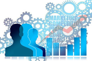 开云体育客户端-中国篮球联赛市场推广策略优化研究,篮球赛事营销策划方案