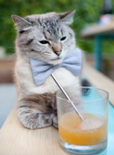 开云体育手机版-中国足球比赛开场战术执行成功率统计,足球比赛开始开球视频