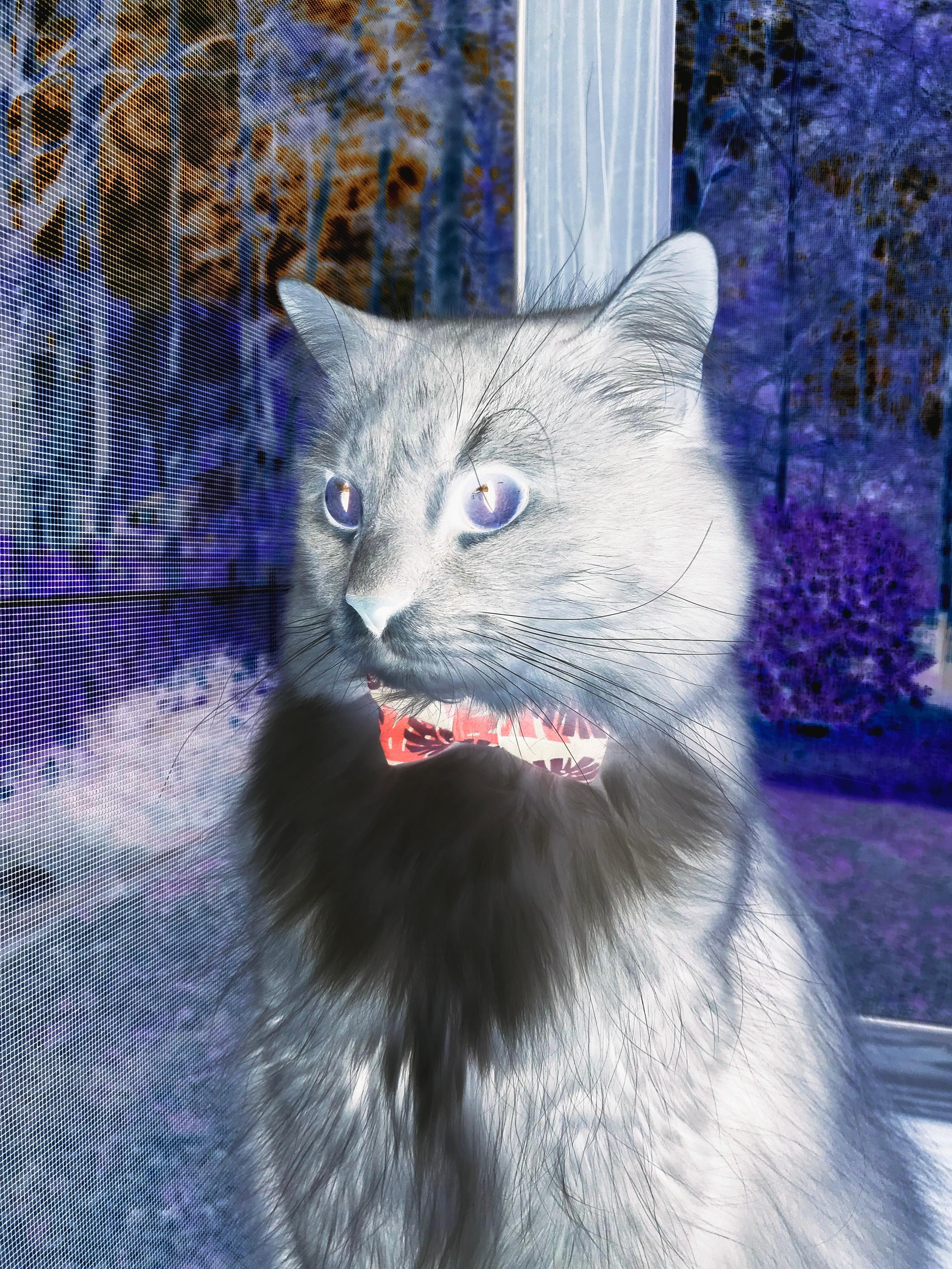 开云体育手机版-中国足球比赛开场战术执行成功率统计,足球比赛开始开球视频