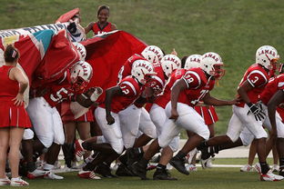 开云在线-全国青少年水上漂流锦标赛激烈角逐,勇者争先,全国青年水上运动会