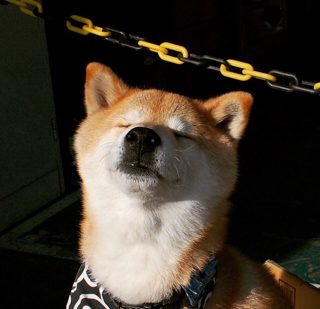 kaiyun app-基层体育组织治理能力提升路径探讨,如何组织基层体育比赛