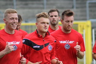 开云体育官网-德甲球队构建战术模拟平台辅助赛中调整,德甲模式