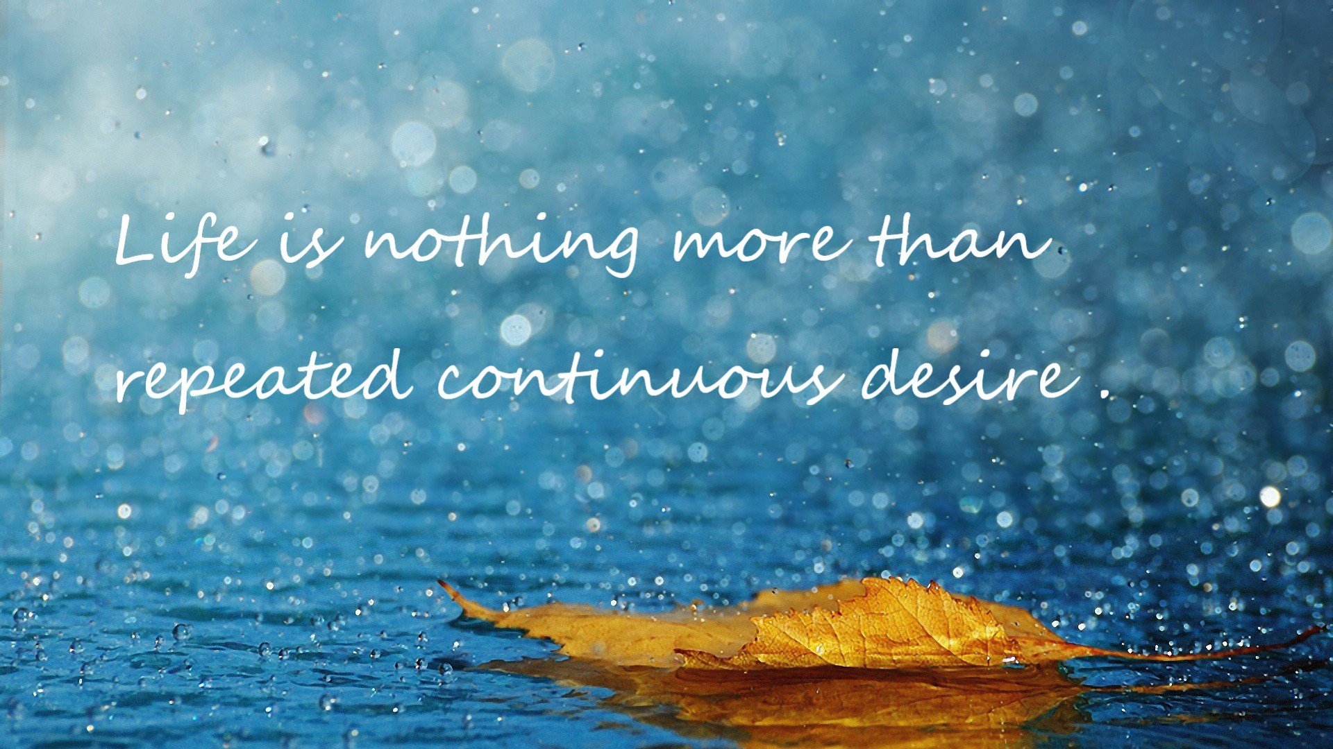 开云体育网址-德甲裁判语义偏差识别模型在冲突场景中的实际应用,语义偏误类型