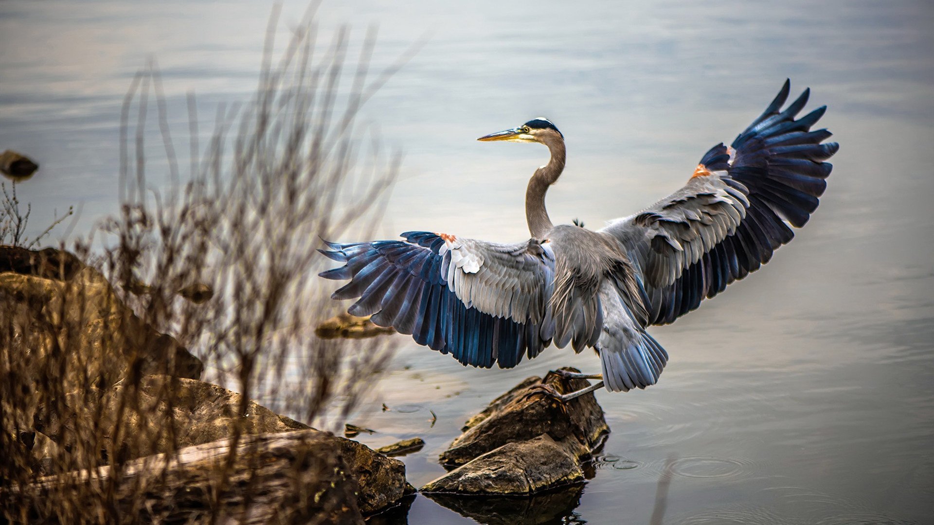 开云体育网址-德甲裁判语义偏差识别模型在冲突场景中的实际应用,语义偏误类型