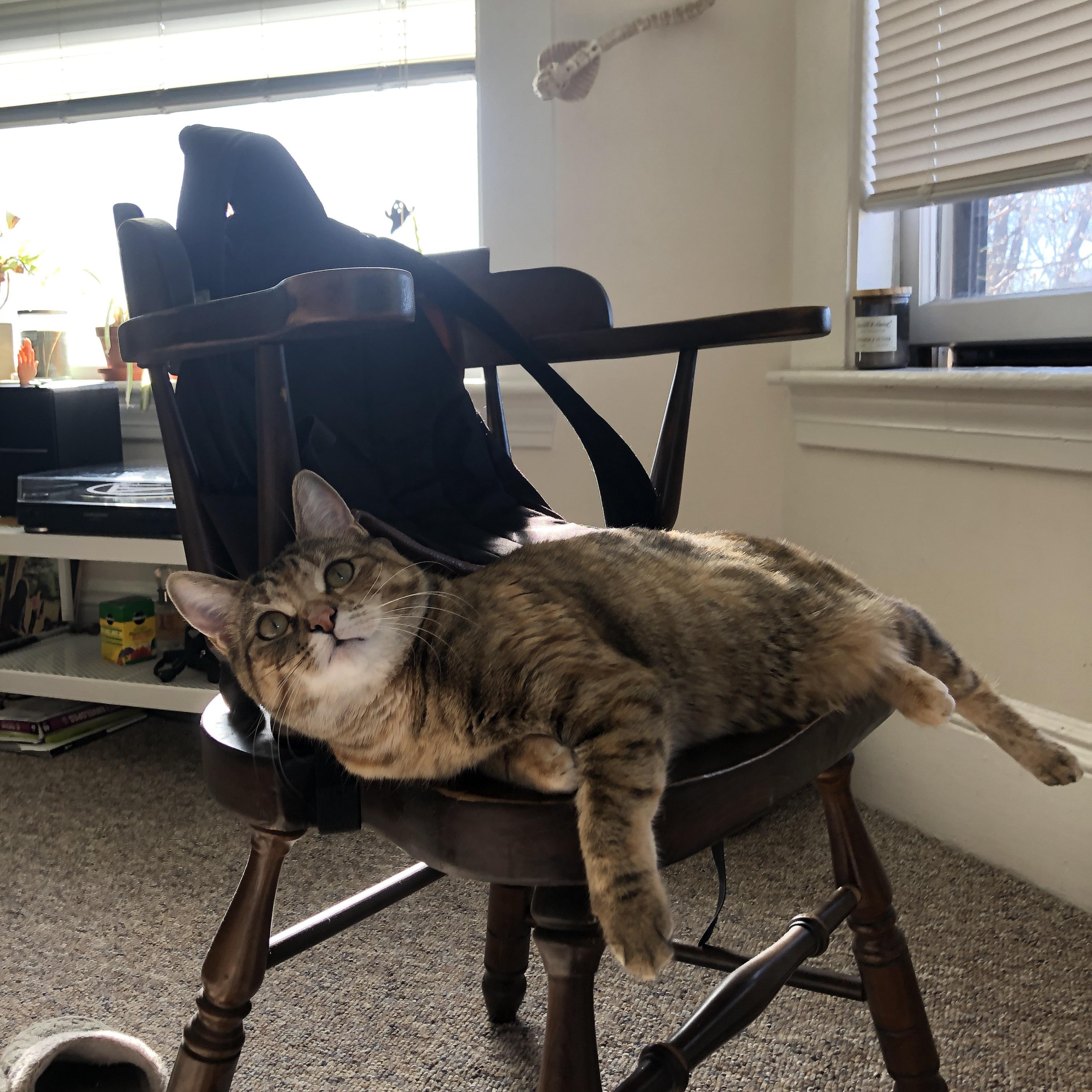 开云体育保障-意甲新战术板设计如何帮助教练布置比赛,意甲新战术板设计如何帮助教练布置比赛