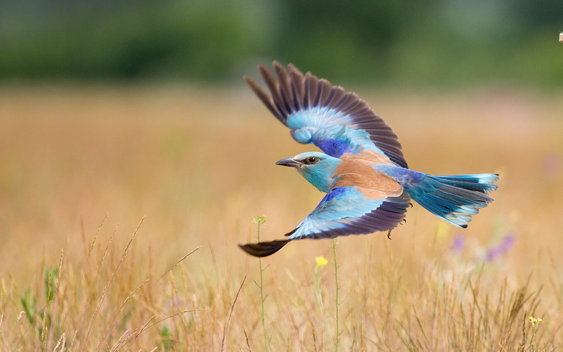 开云体育下载-青少年运动习惯家庭影响分析,影响青少年参与运动的因素有哪些
