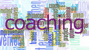 开云娱乐-高校体育课程教学创新与实践探索,高校体育教学理论与实践研究