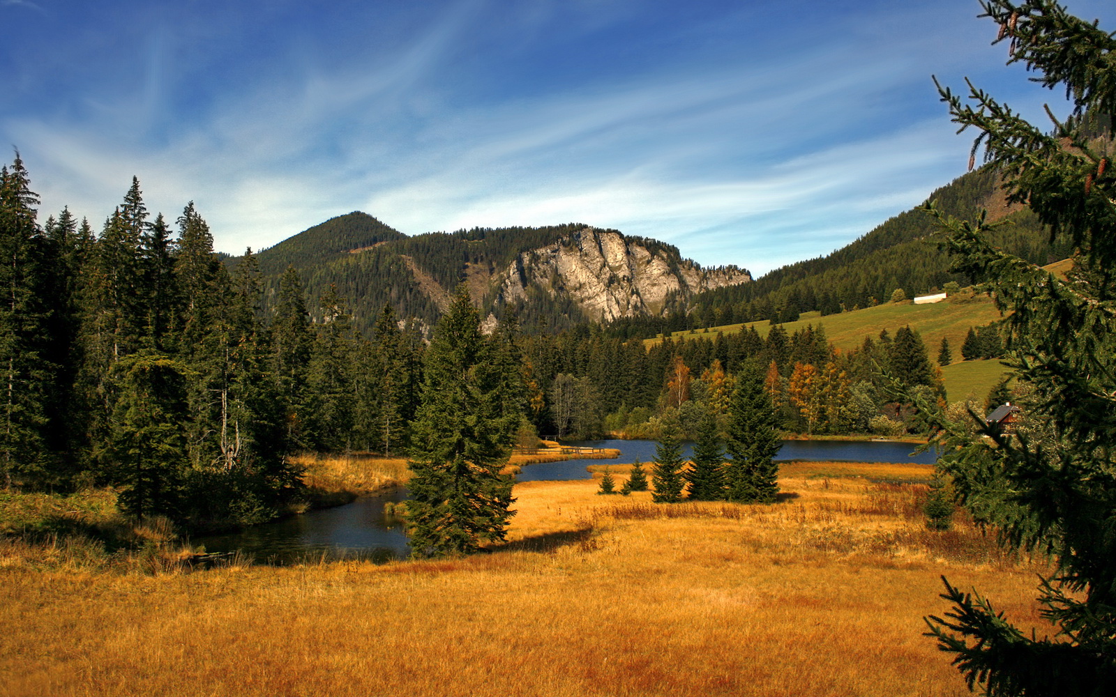 开云体育官方网站-中国女篮坚持快攻与阵地战的平衡打法,中国女篮坚持快攻与阵地战的平衡打法是什么